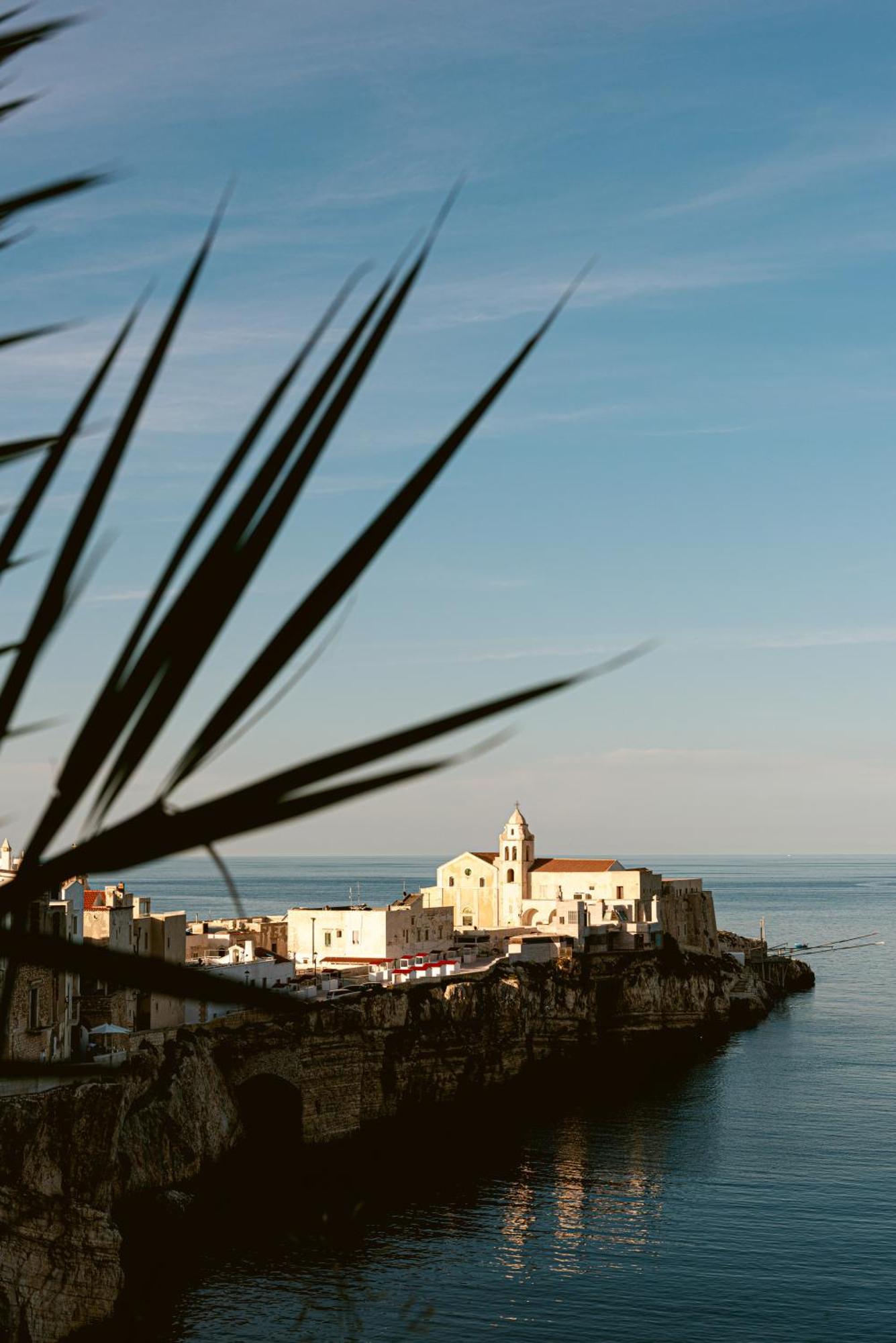 Hotel Degli Aranci Vieste Eksteriør bilde